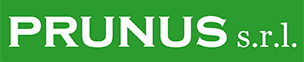 Prunus